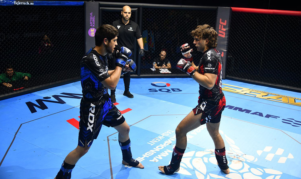 foto MMA 2