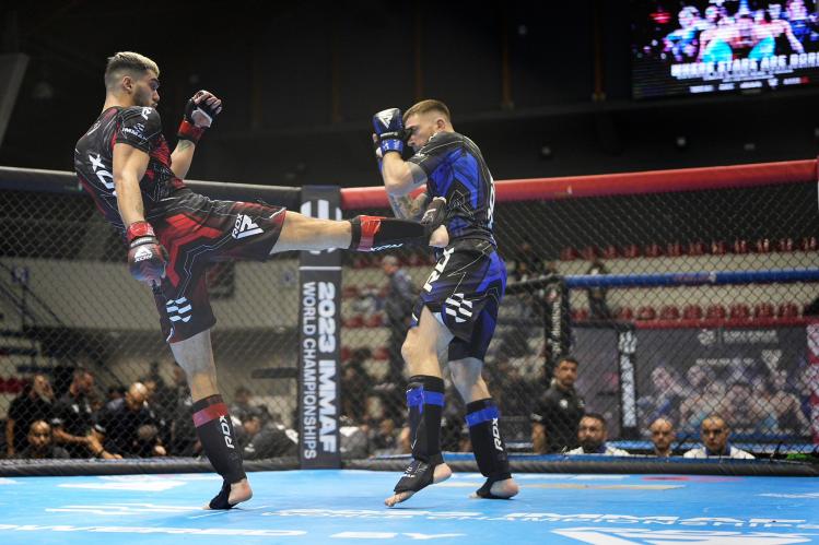 MMA